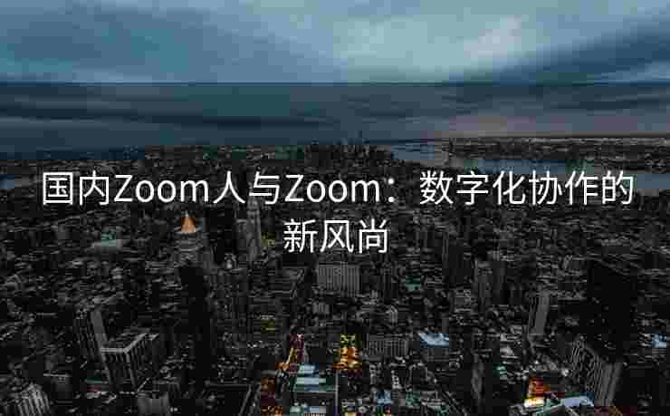 国内Zoom人与Zoom：数字化协作的新风尚