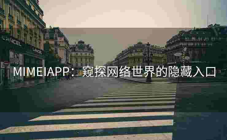 MIMEIAPP：窥探网络世界的隐藏入口