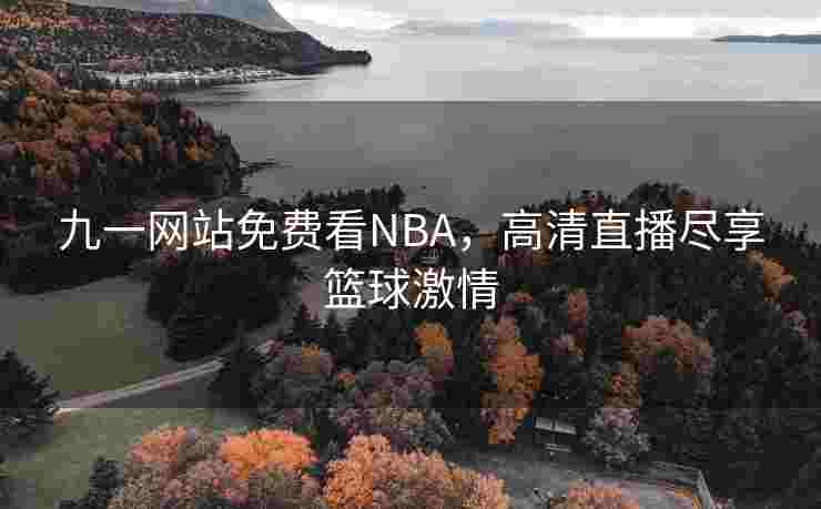 九一网站免费看NBA，高清直播尽享篮球激情